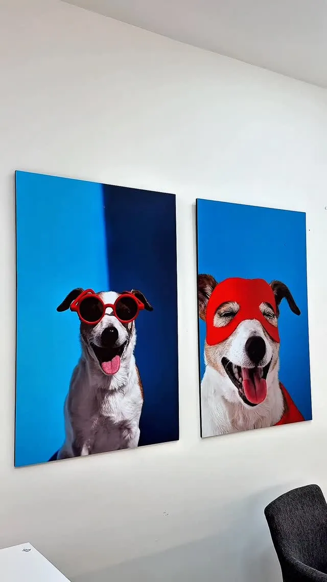 Cuadros de PixeStudio